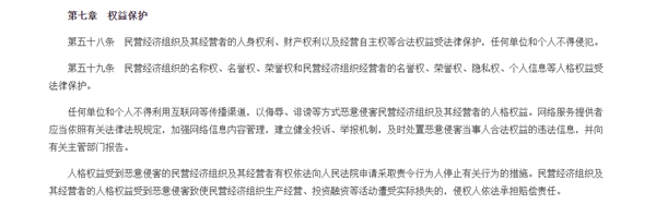 Legal text excerpt from Private Sector Promotion Law