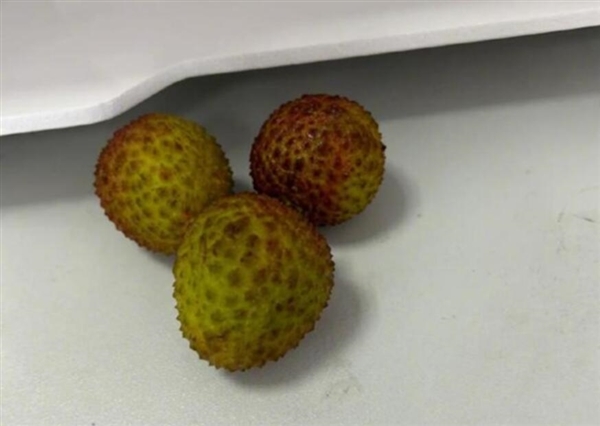 荔枝价格暴跌七成：因产量增加和物流成本降低