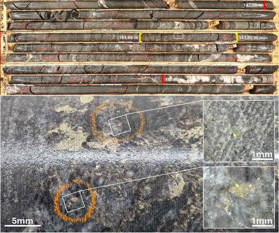 Figure 2: Drill Core from 25PADD023