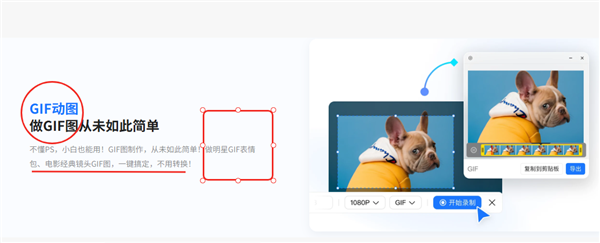 Xiaowang AI Screenshot 1.2.0 Update: Precision Drawing & Smarter Galleries