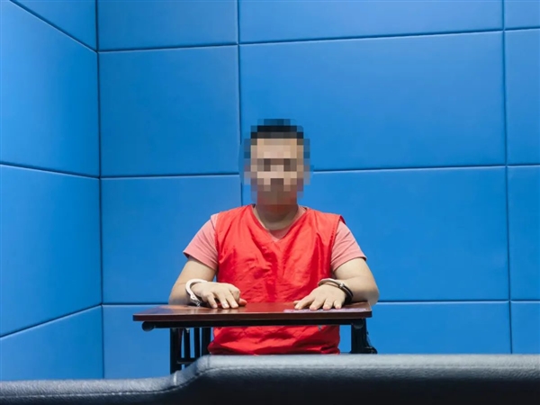 Online Detractor Apprehended: Man Arrested for Smearing Visionox with 'Blind Screen' Allegations