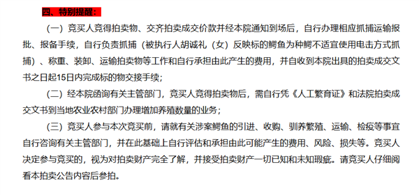 Live Alligator Listed on Alibaba Auction: "Self-Capture Required," Potential Buyers Fear Being Eaten