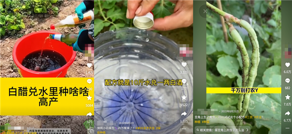 Thousands of Fake Accounts Target Farmers With Agricultural 'Hacks'