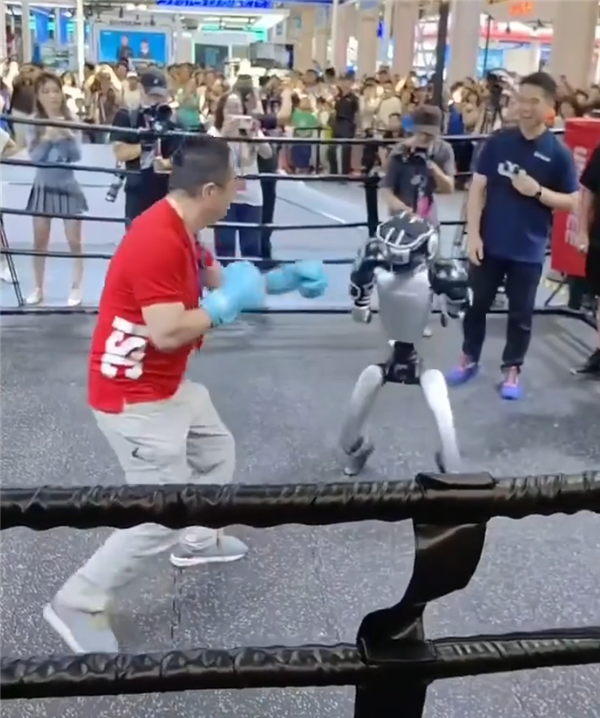 Zhou Hongyi and Robot Boxing Match: Founder Knocks Down Robot with a Punch and Kick
