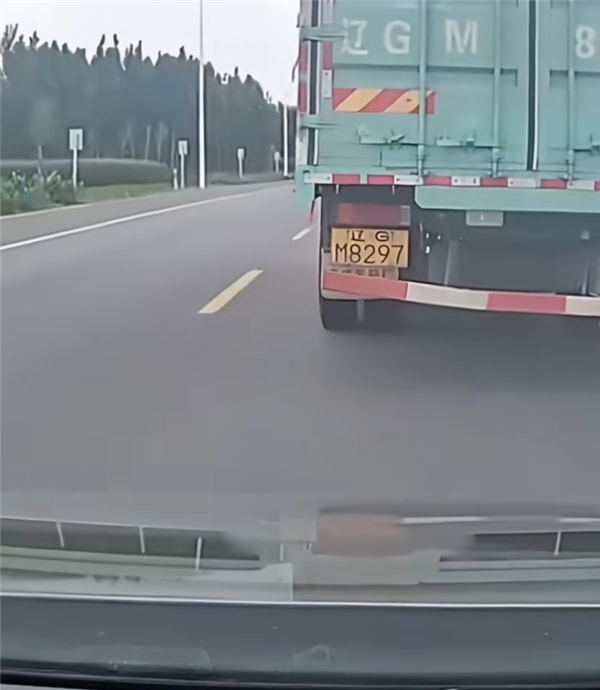 辽GM8297司机承认是故意的：一个转向灯避免意外事故