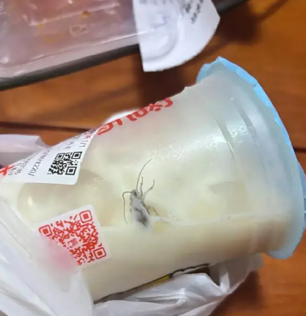 Mixue Ice Cream & Tea under scrutiny after cockroach found in unopened drink