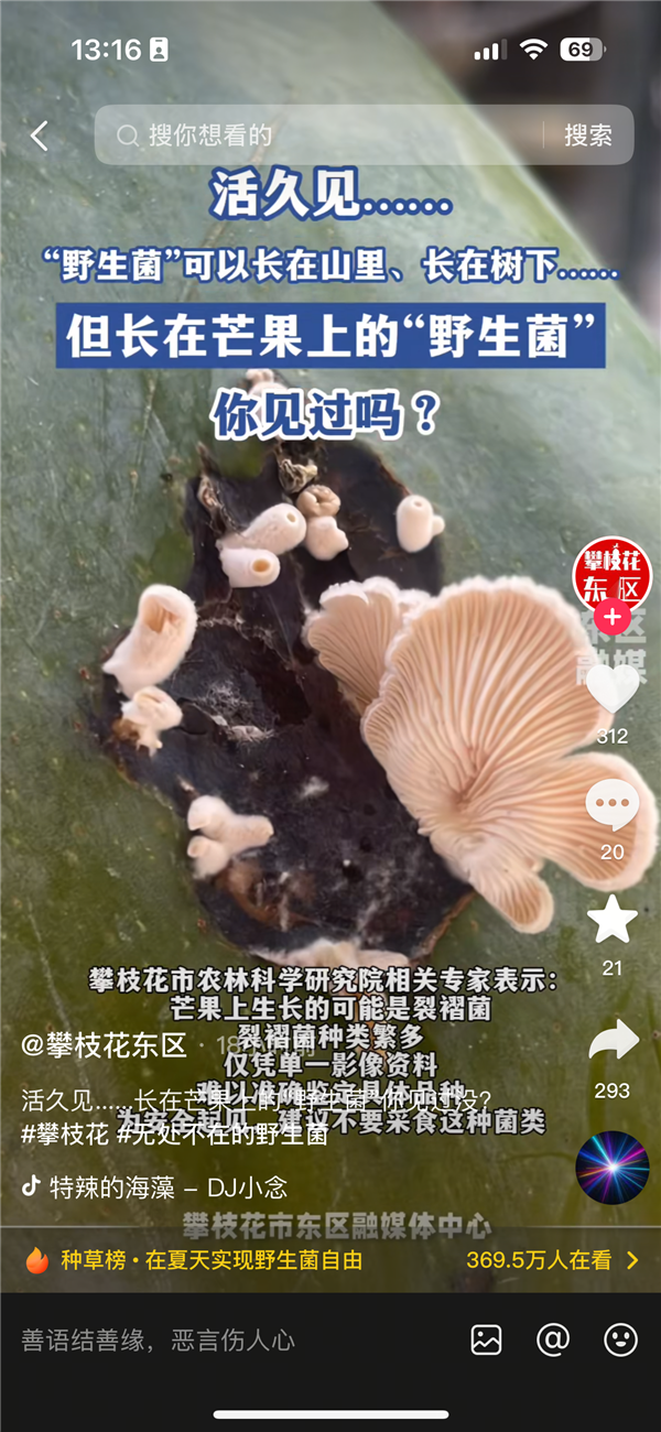 Mango with White Mushrooms Sparks Online Debate: Owner Ate the Mango, Expert Explains the Fungus