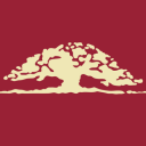 Stock OVLY logo