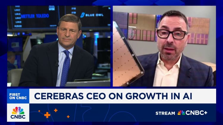 Cerebras CEO: Here's why our chips are a more efficient alternative to Nvidia