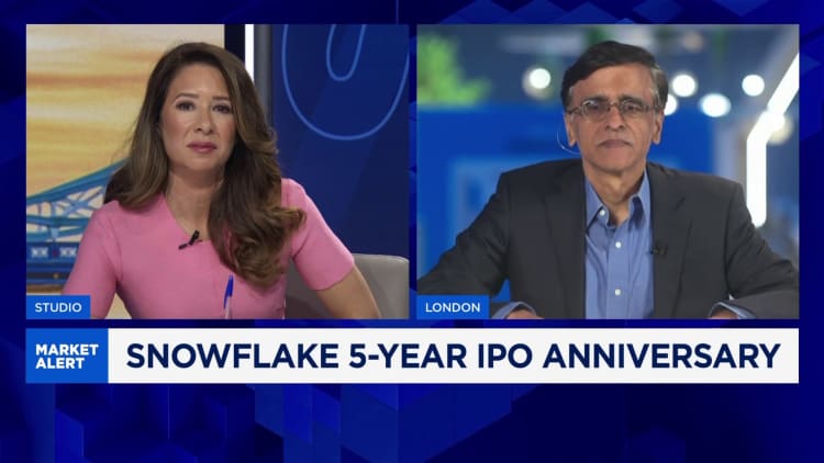 Snowflake CEO downplays concerns of an AI bubble: 'The stock market will settle itself'