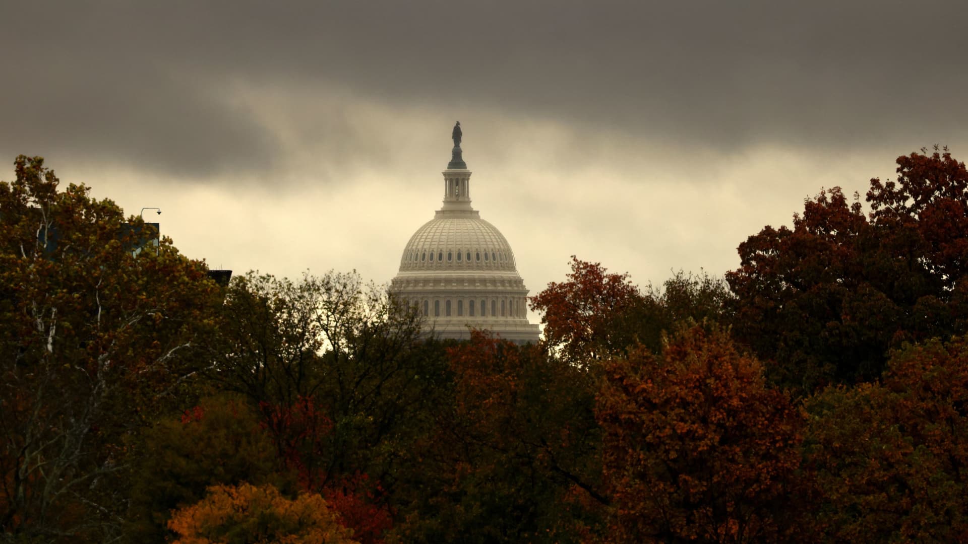 Federal Employees' Shopping Enthusiasm Wanes