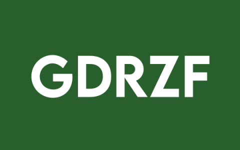 Gold Reserve Clarifies Amber Energy's Lower Bid Consideration