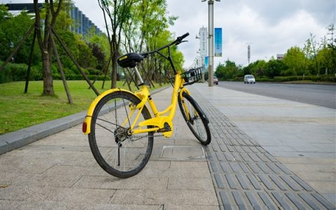 Man Dies After Falling From Bike Basket: Companion Held Liable