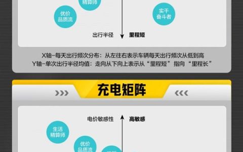 Who Charges at Midnight and Who Naps in Their Car: A Report on Eight Types of EV Users