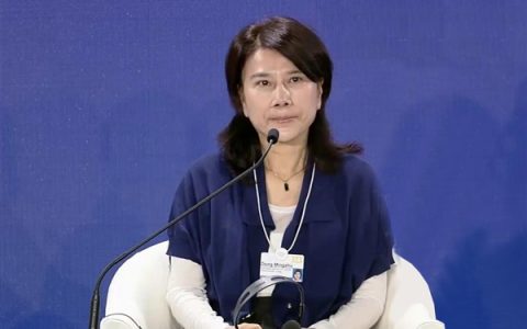 Internet Has a Memory: Deception Only Works Temporarily! Dong Mingzhu: Gree Changed 100+ Years of Air Conditioning History, Making Wind Not Blow on People