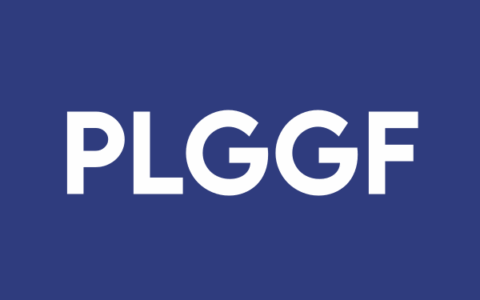 Energy Plug Technologies and SEETEL New Energy Seal Strategic Alliance with Exclusive Canadian Rights and Americas Expansion