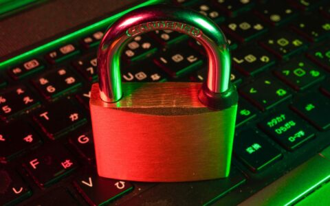 Security Chiefs Urge Immediate AI Regulation Following DeepSeek's Rise