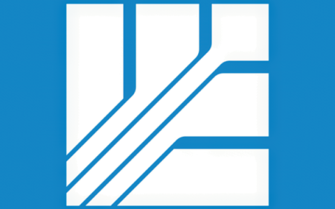 Wisconsin Electric Announces Quarterly Dividend Payout