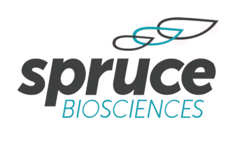Harbour BioMed Invests in Spruce Biosciences, Solidifying Strategic Partnership